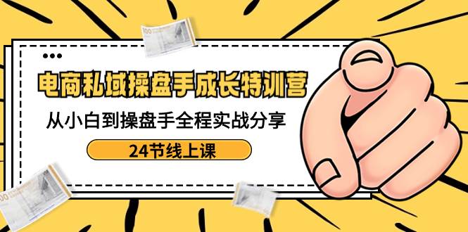 电商私域-操盘手成长特训营：从小白到操盘手全程实战分享-24节线上课_网创掘金