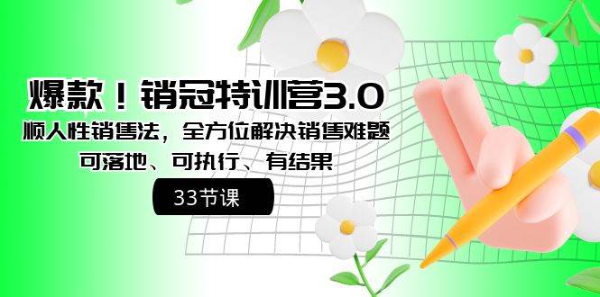 爆款！销冠特训营3.0之顺人性销售法，全方位解决销售难题、可落地、可执行、有结果_网创掘金