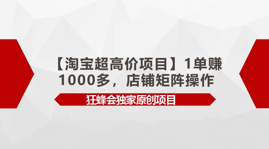 【淘宝超高价项目】1单赚1000多，店铺矩阵操作_网创掘金