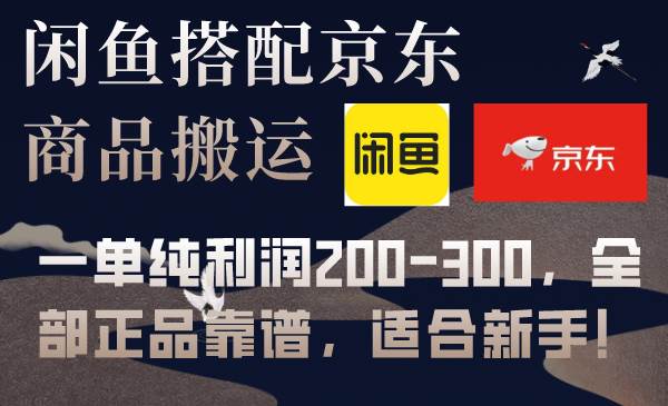 闲鱼搭配京东备份库搬运，一单纯利润200-300，全部正品靠谱，适合新手！_网创掘金