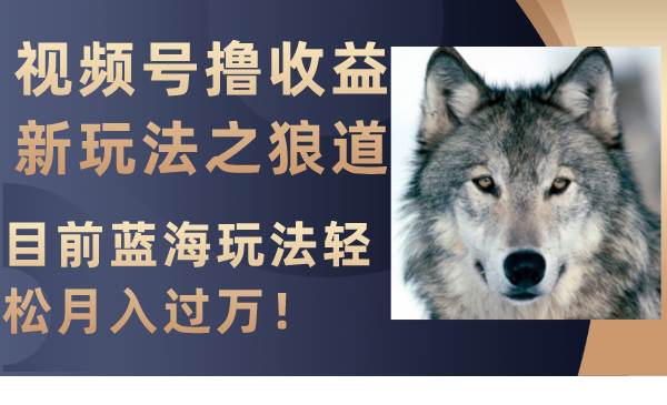 视频号撸收益新玩法之狼道，目前蓝海玩法轻松月入过万！_网创掘金