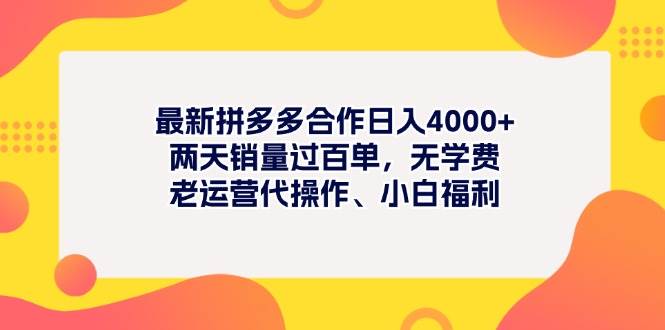 最新拼多多项目日入4000+两天销量过百单，无学费、老运营代操作、小白福利_网创掘金