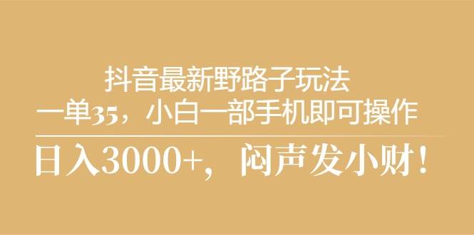 抖音最新野路子玩法，一单35，小白一部手机即可操作，，日入3000+，闷…_网创掘金