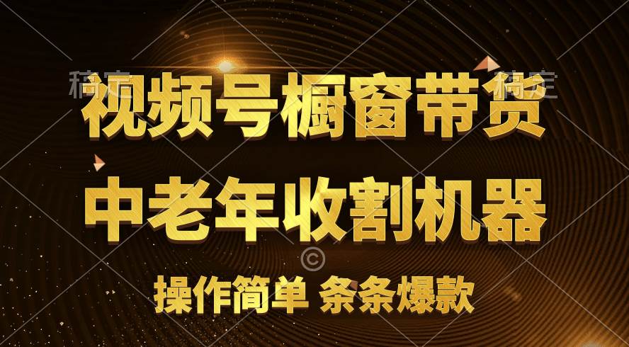 [你的孩子成功取得高位]视频号最火爆赛道，橱窗带货，流量分成计划，条…_网创掘金