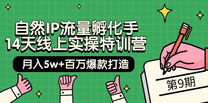自然IP流量孵化手 14天线上实操特训营【第9期】月入5w+百万爆款打造 (74节)_网创掘金