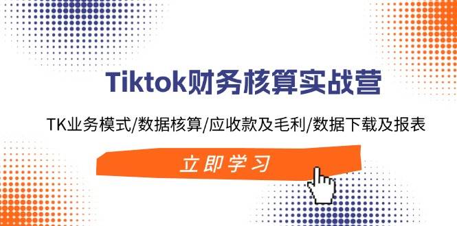 Tiktok财务核算实战营：TK业务模式/数据核算/应收款及毛利/数据下载及报表_网创掘金