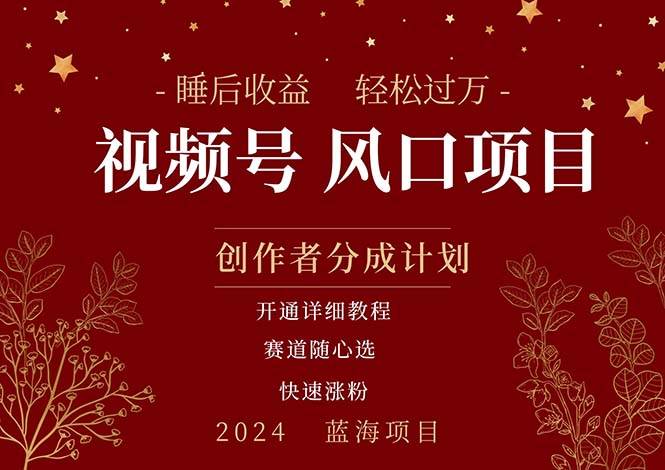 拥有睡眠收益的微信视频号大风口项目，轻松月入过万+，多赛道选择，可…_网创掘金