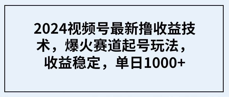 2024视频号最新撸收益技术，爆火赛道起号玩法，收益稳定，单日1000+_网创掘金