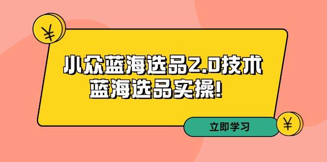 拼多多培训第33期：小众蓝海选品2.0技术-蓝海选品实操！_网创掘金