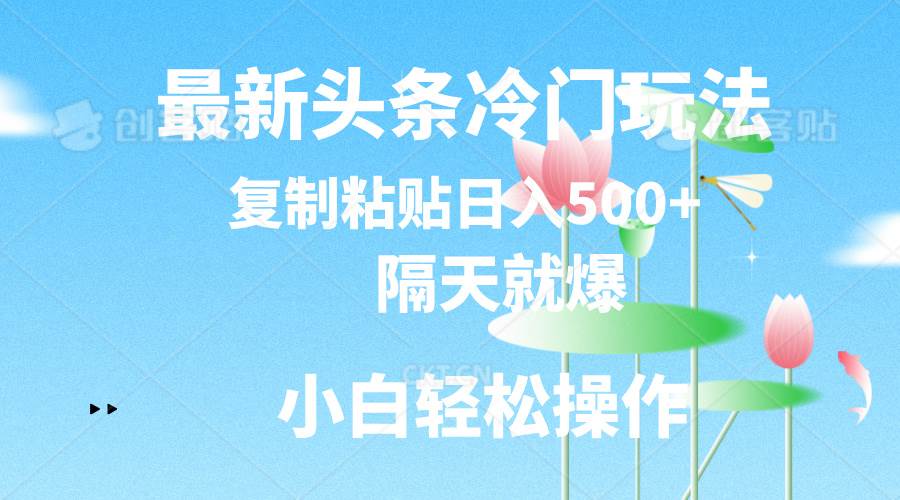 最新头条冷门玩法，隔天就爆，复制粘贴日入500+_网创掘金