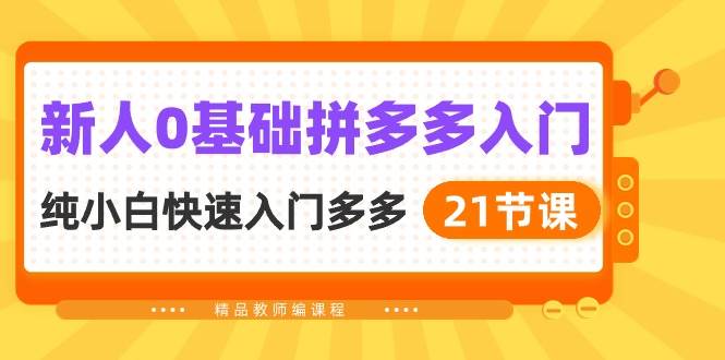 新人0基础拼多多入门，纯小白快速入门多多（21节课）_网创掘金