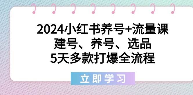 2024小红书养号+流量课：建号、养号、选品，5天多款打爆全流程_网创掘金