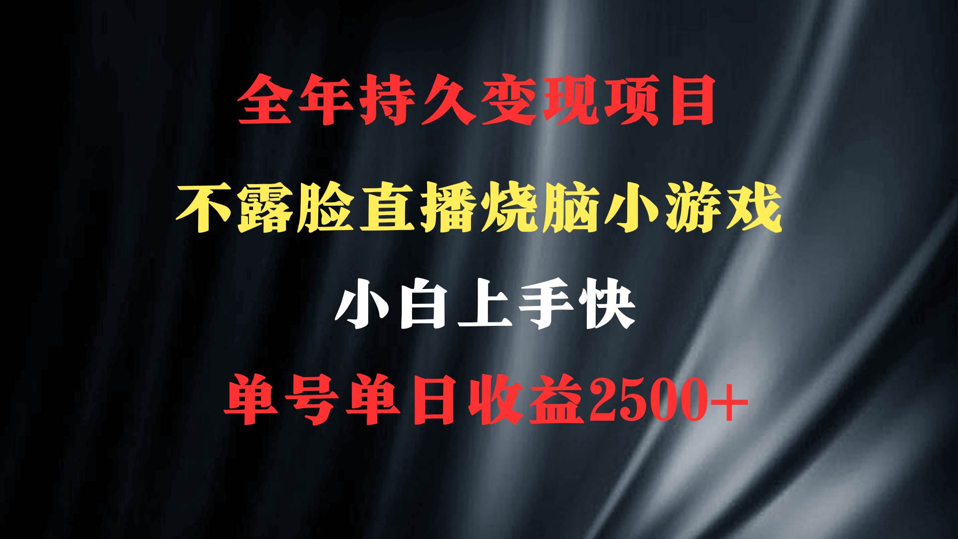 2024年 最优项目，烧脑小游戏不露脸直播  小白上手快 无门槛 一天收益2500+_网创掘金