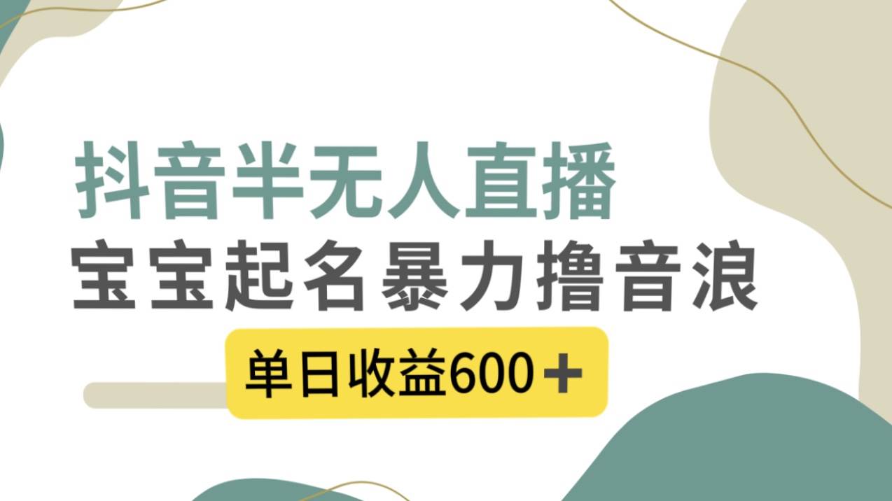 抖音半无人直播，宝宝起名，暴力撸音浪，单日收益600+_网创掘金