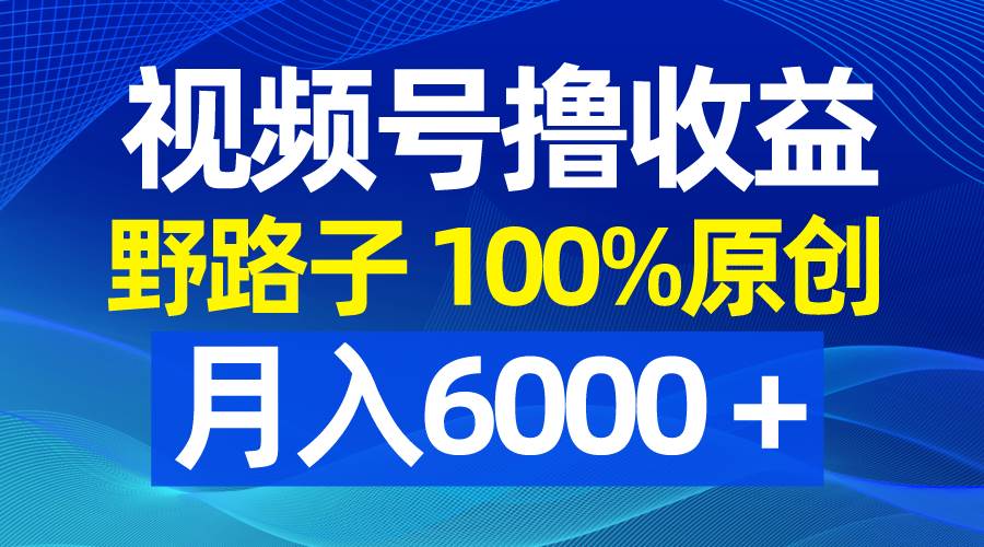视频号野路子撸收益，100%原创，条条爆款，月入6000＋_网创掘金