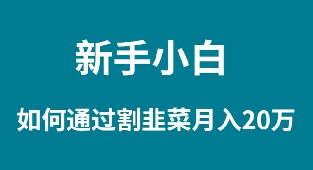 新手小白如何通过割韭菜月入 20W_网创掘金