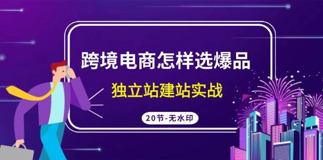 跨境电商怎样选爆品，独立站建站实战（20节高清无水印课）_网创掘金