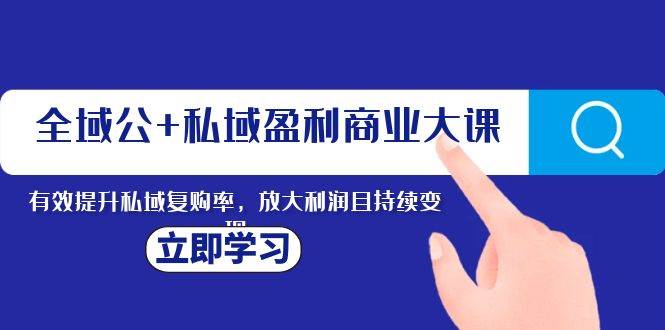 全域公+私域盈利商业大课，有效提升私域复购率，放大利润且持续变现_网创掘金
