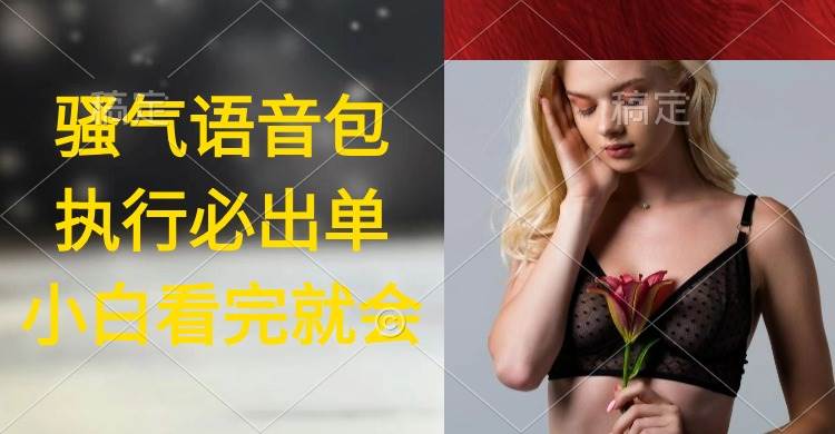 执行就出单，日入2000+，超火骚气语音包，小白看完课程就能马上实操_网创掘金