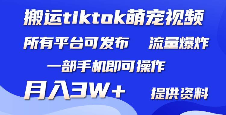 搬运Tiktok萌宠类视频，一部手机即可。所有短视频平台均可操作，月入3W+_网创掘金