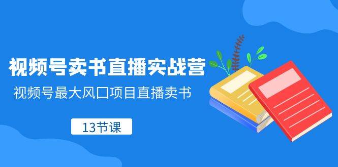 视频号-卖书直播实战营，视频号最大风囗项目直播卖书（13节课）_网创掘金