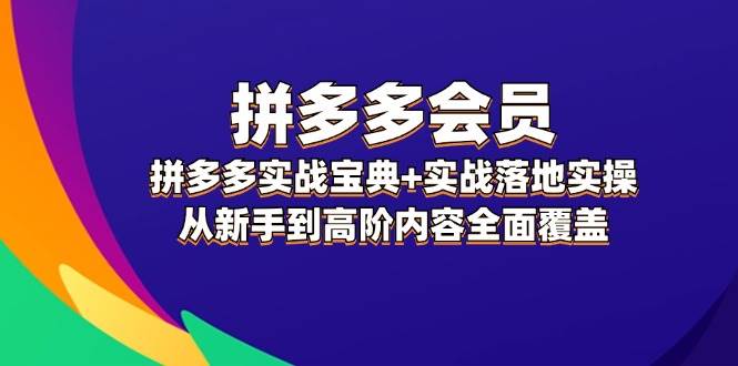 拼多多 会员，拼多多实战宝典+实战落地实操，从新手到高阶内容全面覆盖_网创掘金