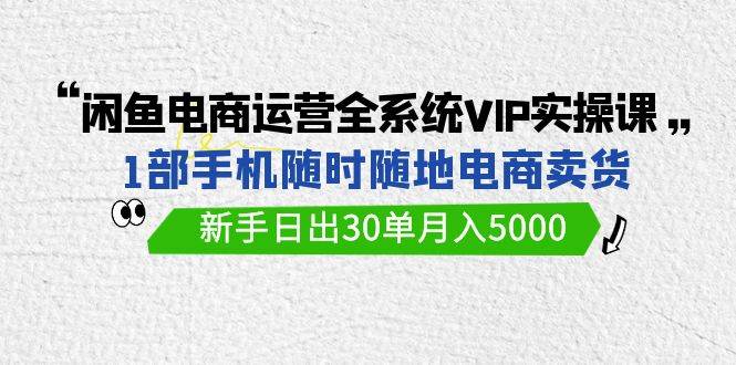 闲鱼电商运营全系统VIP实战课，1部手机随时随地卖货，新手日出30单月入5000_网创掘金