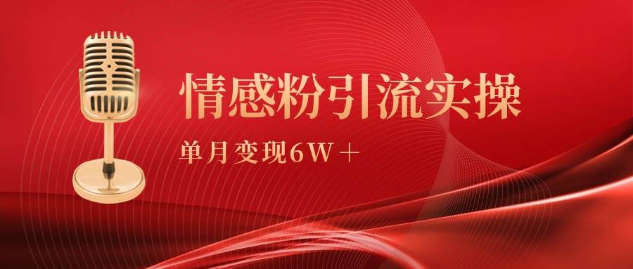 单月变现6w+，情感粉引流变现实操课_网创掘金