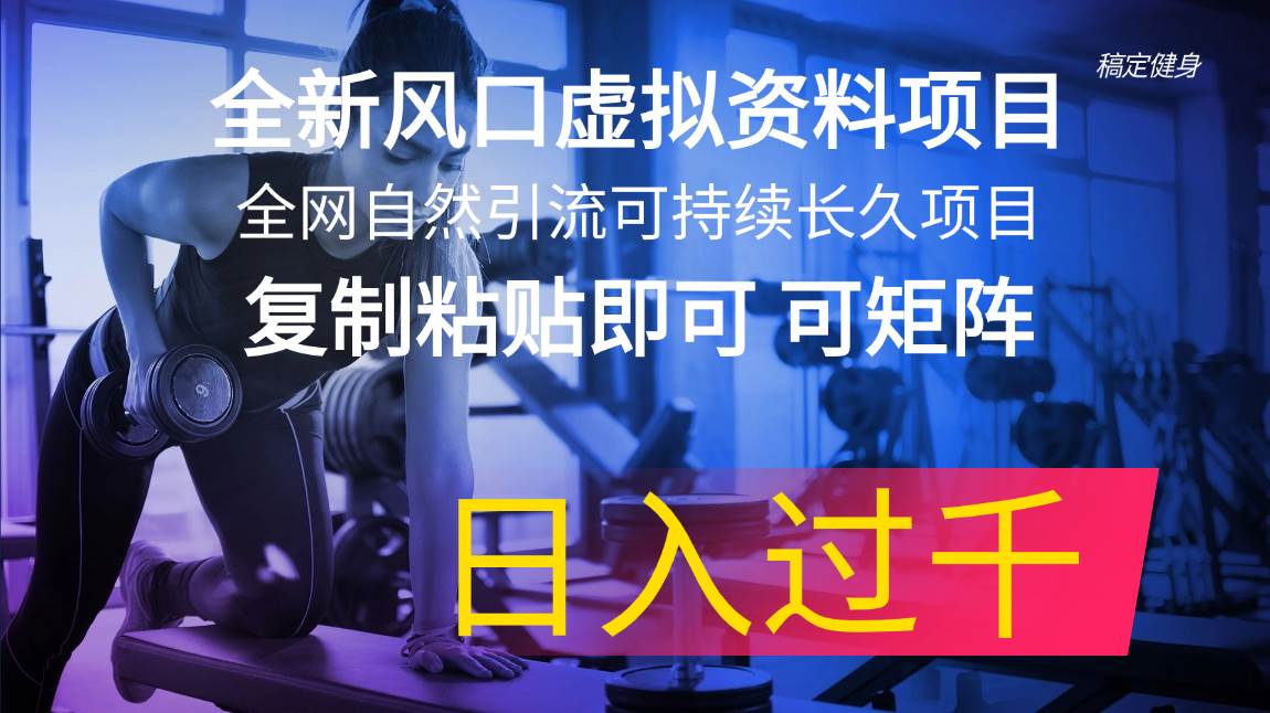 全新风口虚拟资料项目 全网自然引流可持续长久项目 复制粘贴即可可矩阵…_网创掘金