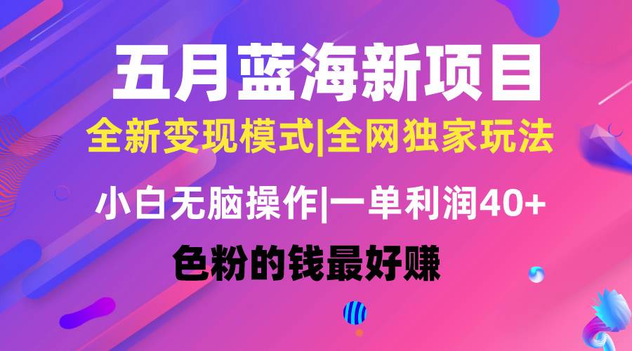五月蓝海项目全新玩法，小白无脑操作，一天几分钟，矩阵操作，月入4万+_网创掘金