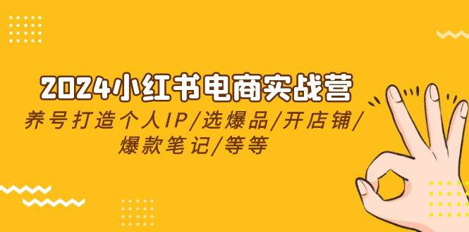 2024小红书电商实战营，养号打造IP/选爆品/开店铺/爆款笔记/等等（24节）_网创掘金