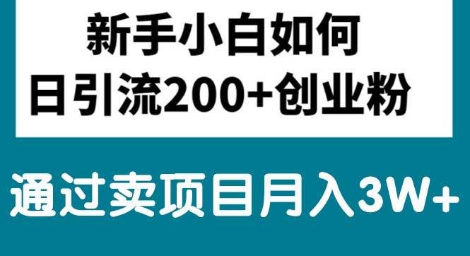 新手小白日引流200+创业粉,通过卖项目月入3W+_网创掘金