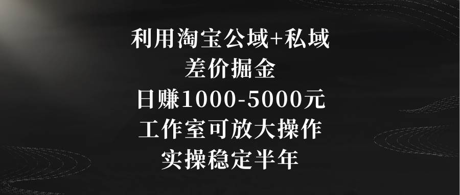 利用淘宝公域+私域差价掘金，日赚1000-5000元，工作室可放大操作，实操..._网创掘金