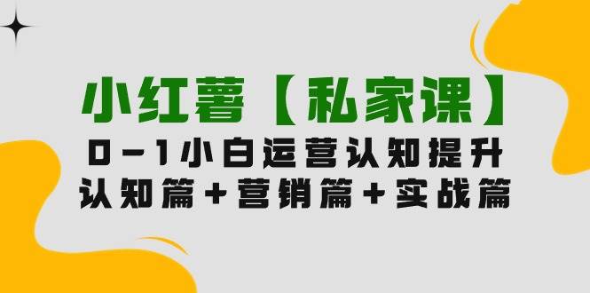 小红薯【私家课】0-1玩赚小红书内容营销，认知篇+营销篇+实战篇（11节课）_网创掘金