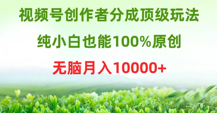 视频号创作者分成顶级玩法，纯小白也能100%原创，无脑月入10000+_网创掘金