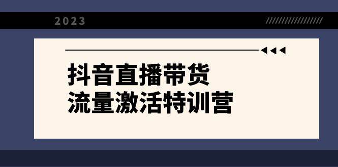 抖音直播带货-流量激活特训营，入行新手小白主播必学（21节课+资料）_网创掘金