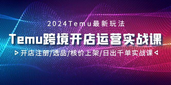 2024Temu跨境开店运营实战课，开店注册/选品/核价上架/日出千单实战课_网创掘金