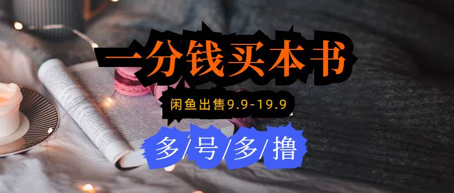 每天花1分钱买一本书，闲鱼出售9.9-19.9不等，多账号多撸 新手小白均可操作_网创掘金
