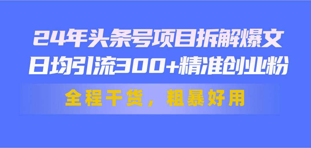 24年头条号项目拆解爆文，日均引流300+精准创业粉，全程干货，粗暴好用_网创掘金