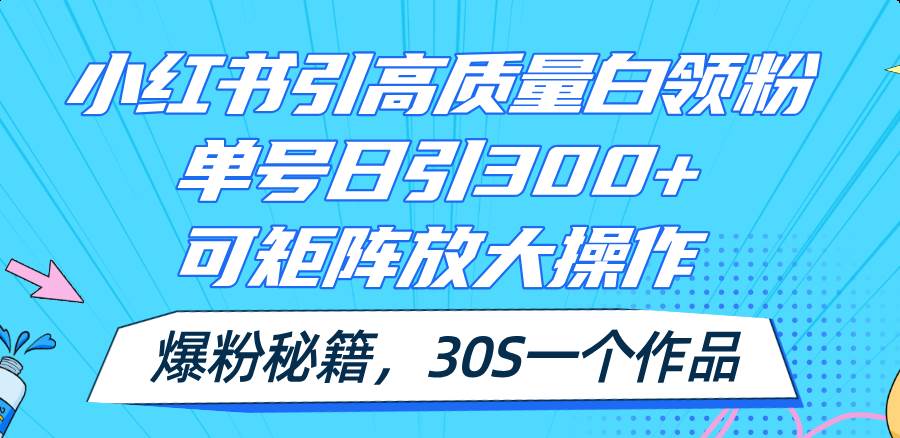 小红书引高质量白领粉，单号日引300+，可放大操作，爆粉秘籍！30s一个作品_网创掘金