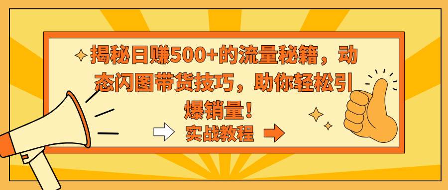 揭秘日赚500+的流量秘籍，动态闪图带货技巧，助你轻松引爆销量！_网创掘金