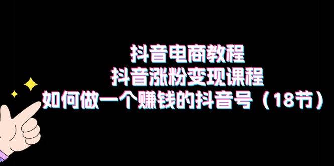 抖音电商教程：抖音涨粉变现课程：如何做一个赚钱的抖音号（18节）_网创掘金