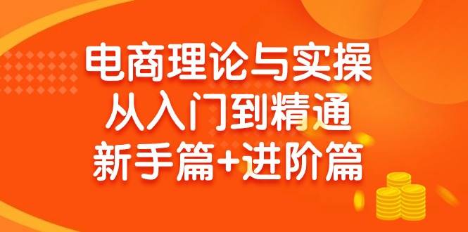 电商理论与实操从入门到精通 新手篇+进阶篇_网创掘金