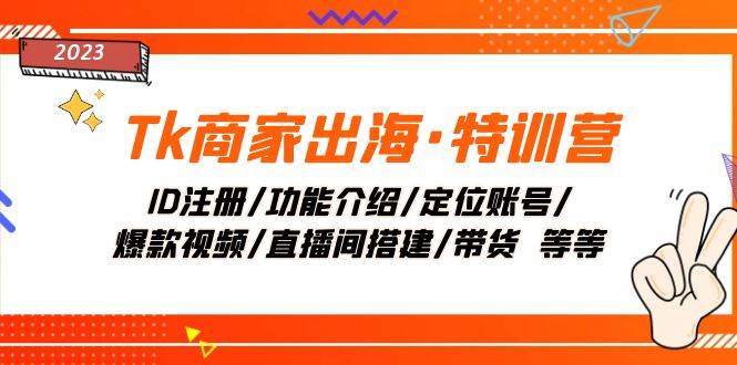 Tk商家出海·特训营：ID注册/功能介绍/定位账号/爆款视频/直播间搭建/带货_网创掘金