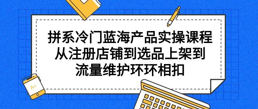 拼系冷门蓝海产品实操课程，从注册店铺到选品上架到流量维护环环相扣_网创掘金
