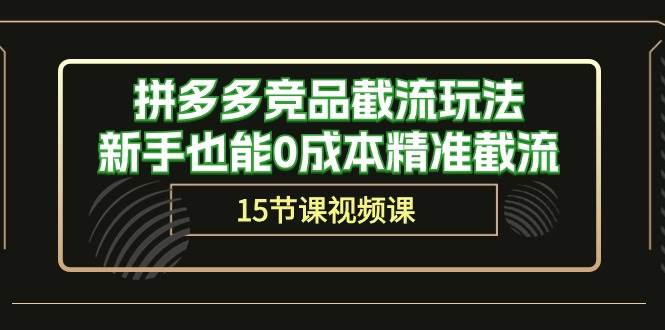 拼多多竞品截流玩法，新手也能0成本精准截流（15节课）_网创掘金