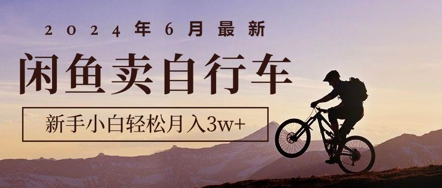2024年6月最新闲鱼卖自行车，新手小白轻松月入3w+项目_网创掘金