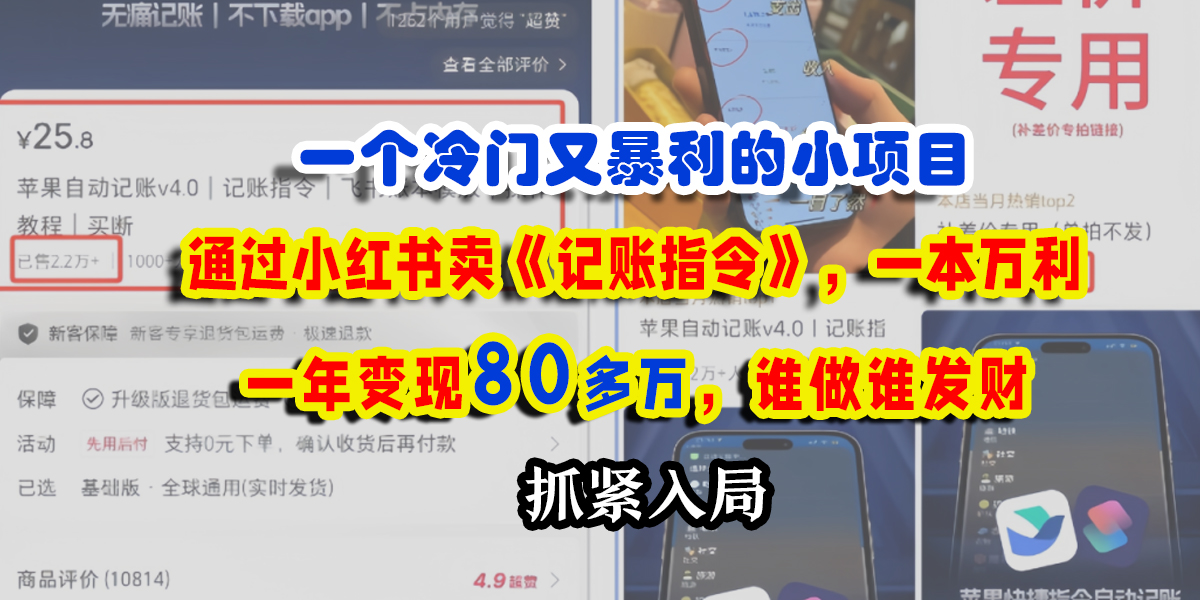 一个冷门又暴利的小项目，通过小红书卖《记账指令》，一本万利，一年变现80多万，谁做谁发财_网创掘金
