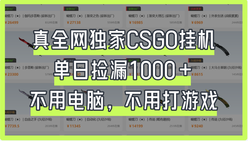 真全网独家CSGO挂机，单日捡漏1000+_网创掘金