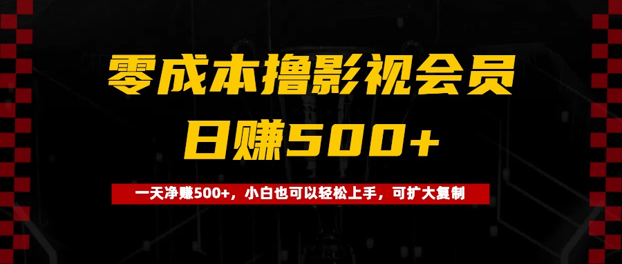 0成本撸影视会员，一天净赚500+，小白也可以轻松上手，可扩大复制_网创掘金